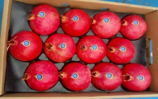 رب انار صادراتی